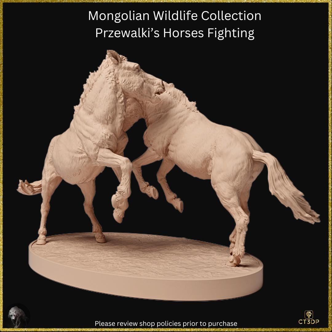 From the Mongolian Wildlife collection comes this amazing set of two Przewalski stallions fighting. Awesome detail.