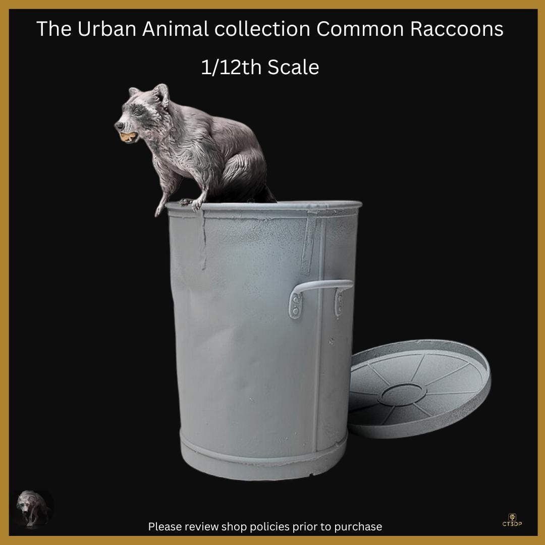 Urban Animal Collection- Raccoons - Cheeky little fellas