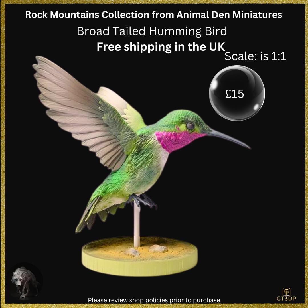 Broad-Tailed Hummingbird Miniature: Detailed Resin Model