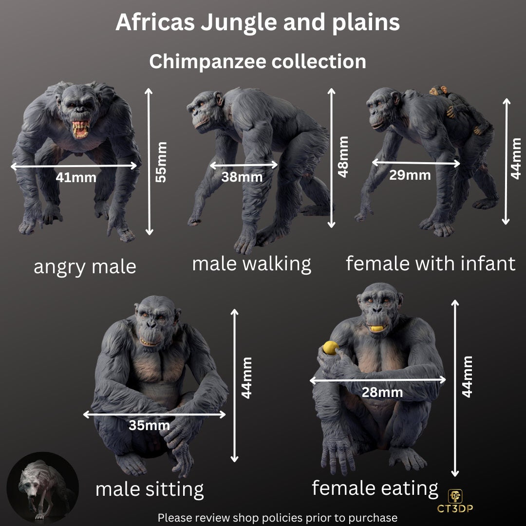 Africa Jungle and Plains Collection - Chimpanzees by Animal Den Miniatures