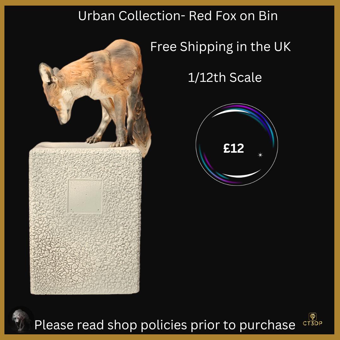 The Urban Red Fox on a Bin- a regular sight for some urban and city dwellers- canny-funny-clever