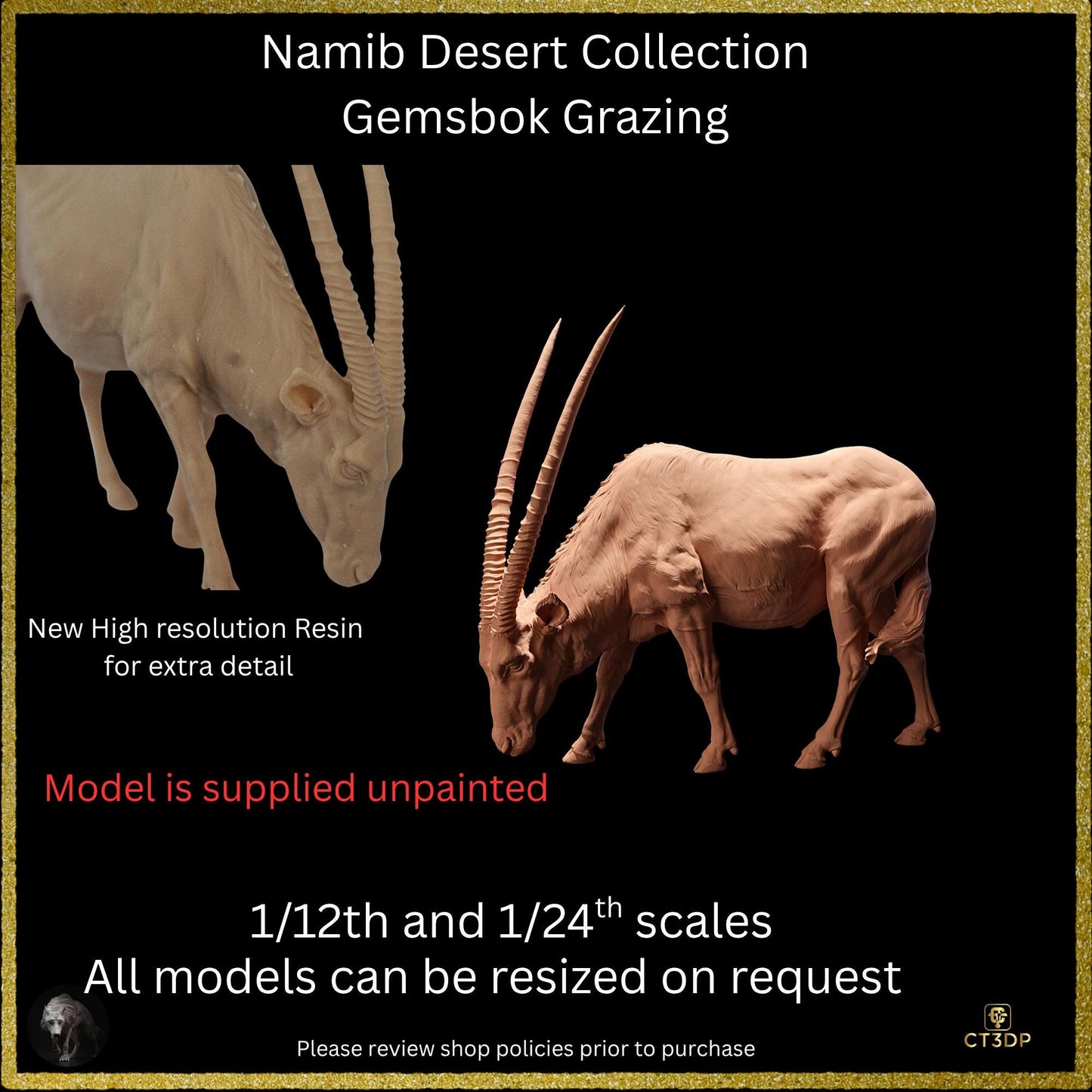 The Gemsbok from the Namib Desert Collection- Grazing