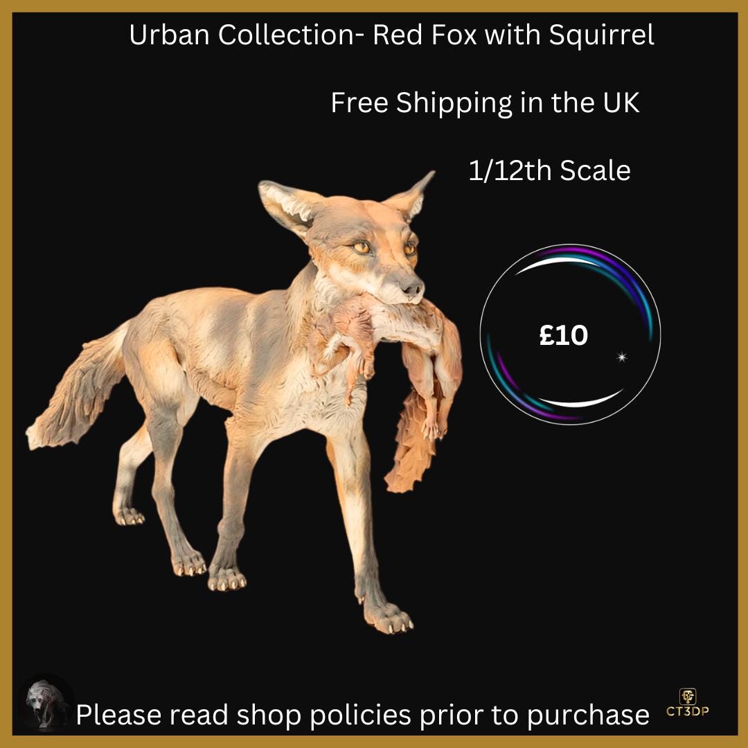 The Urban Collection: Red Fox with squirrel-cheeky-nocturnal-clever-intelligent