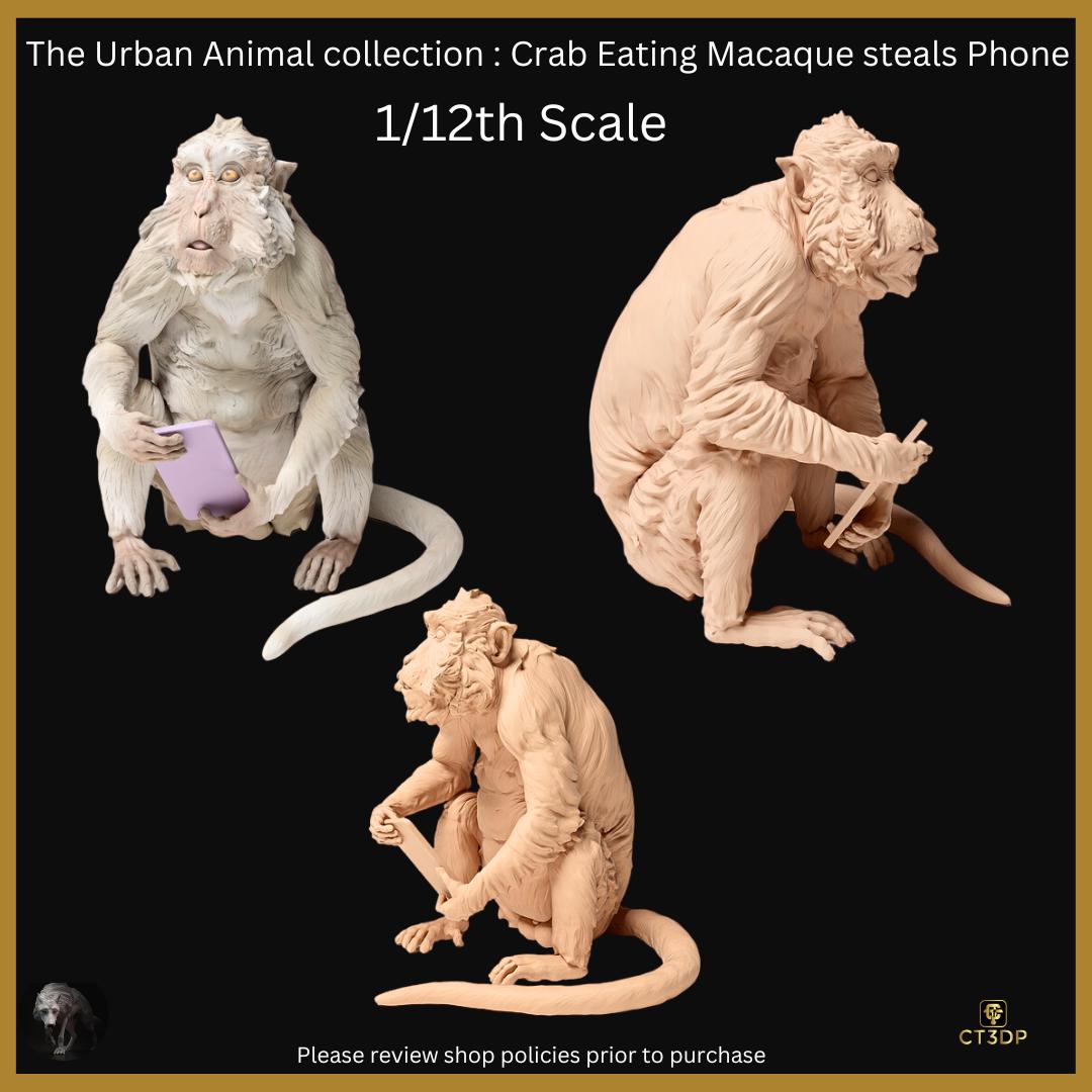Urban Animal collection: Crab Eating Macaque steals phone - Fun model at 1/12th Scale