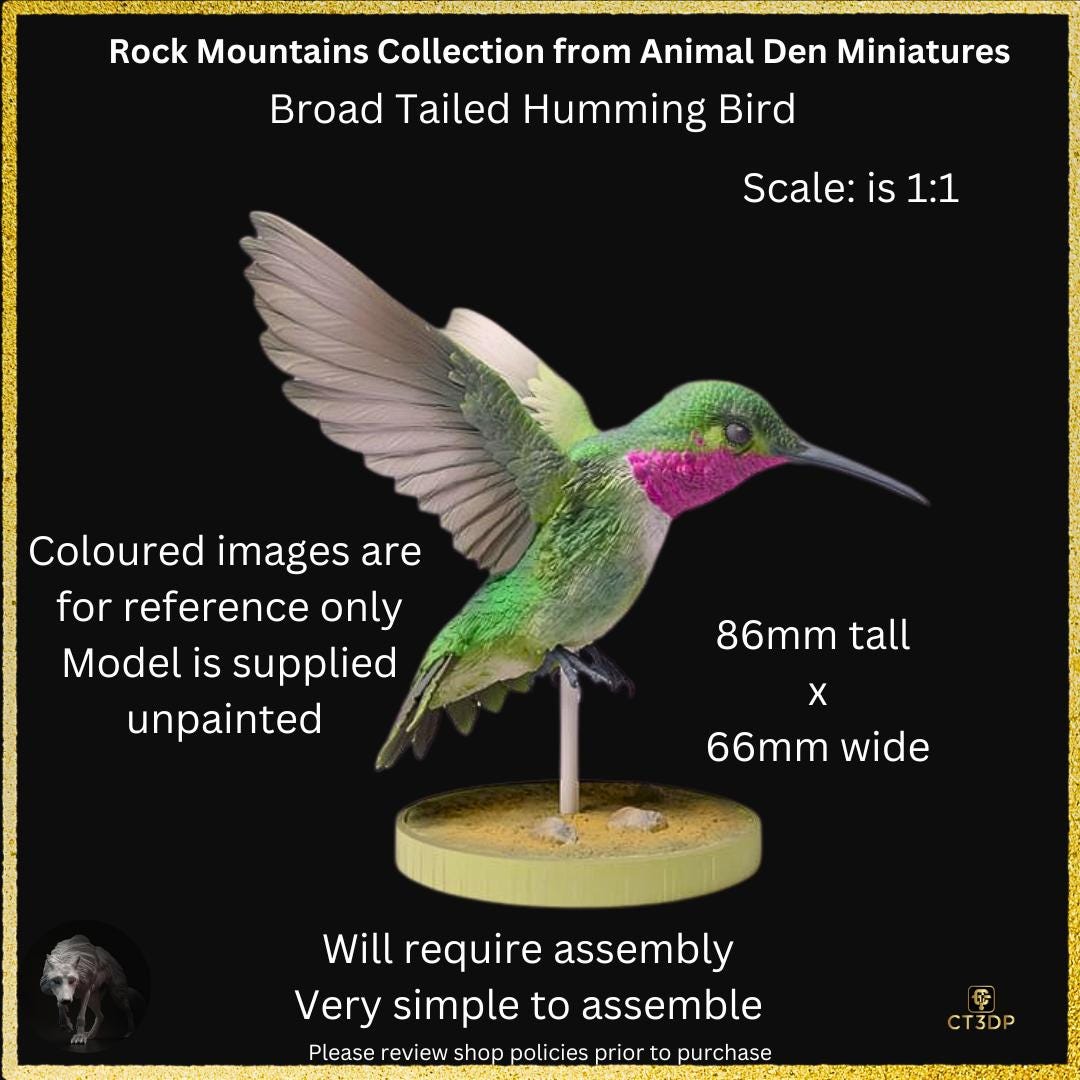 Broad-Tailed Hummingbird Miniature: Detailed Resin Model