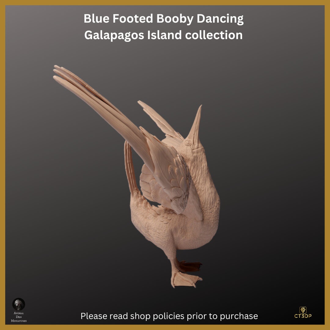 Blue Footed Booby Miniature: Galapagos Island Collection, Dancing Model
