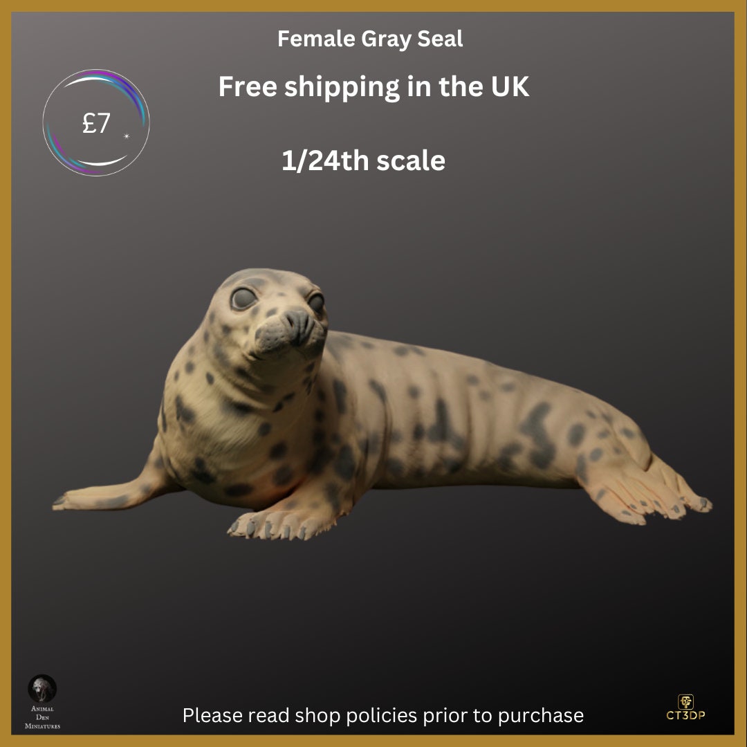 Female Grey Seal Miniature: Detailed Resin Print