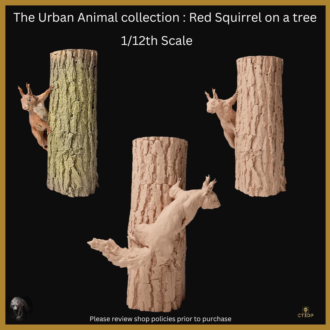 Urban Animal collection: Red Squirrel on a tree - cheeky little fellas