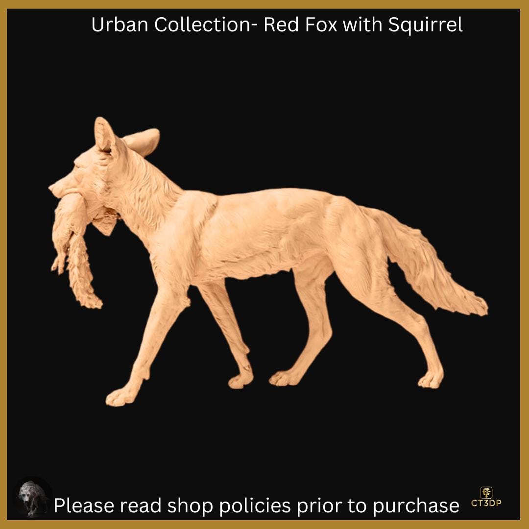 The Urban Collection: Red Fox with squirrel-cheeky-nocturnal-clever-intelligent
