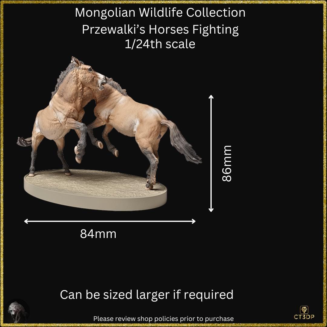 From the Mongolian Wildlife collection comes this amazing set of two Przewalski stallions fighting. Awesome detail.