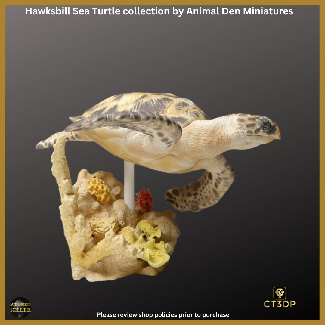 Great Barrier Reef Collection: Hawksbill Turtles. Water-Reef-Barrier reef