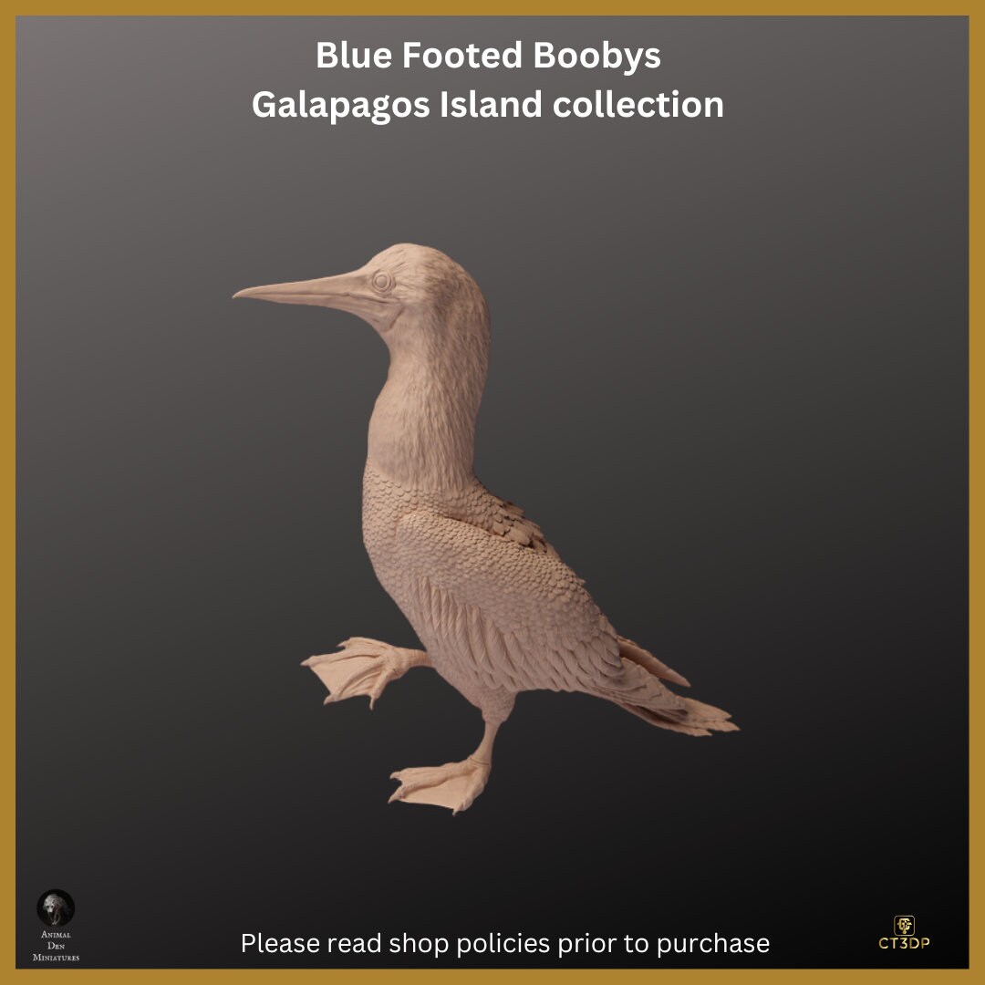 Blue Footed Booby Miniature: Galapagos Island Animal Model