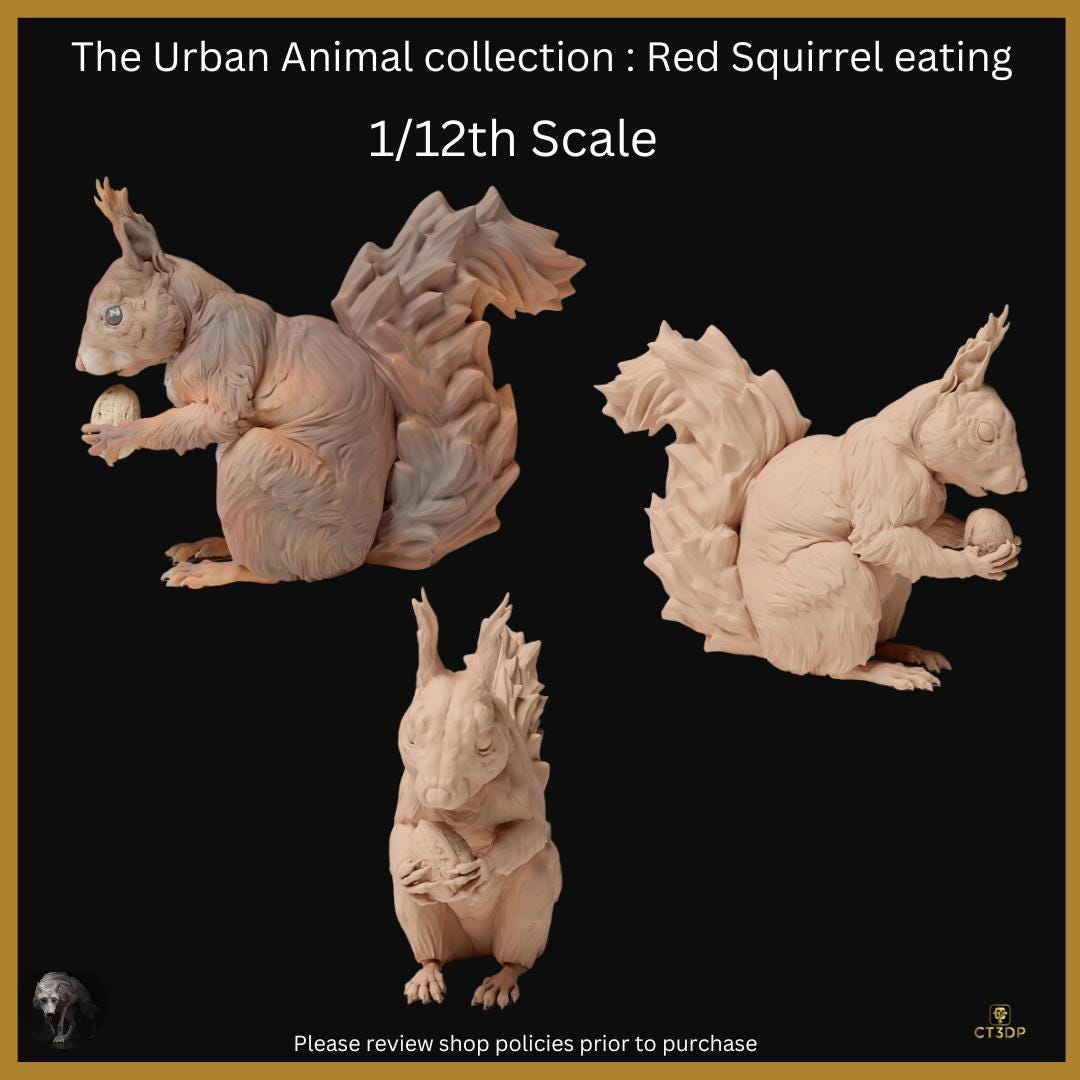 The Urban Collection: Red Squirrel Eating. Fun little guys that are truly very clever