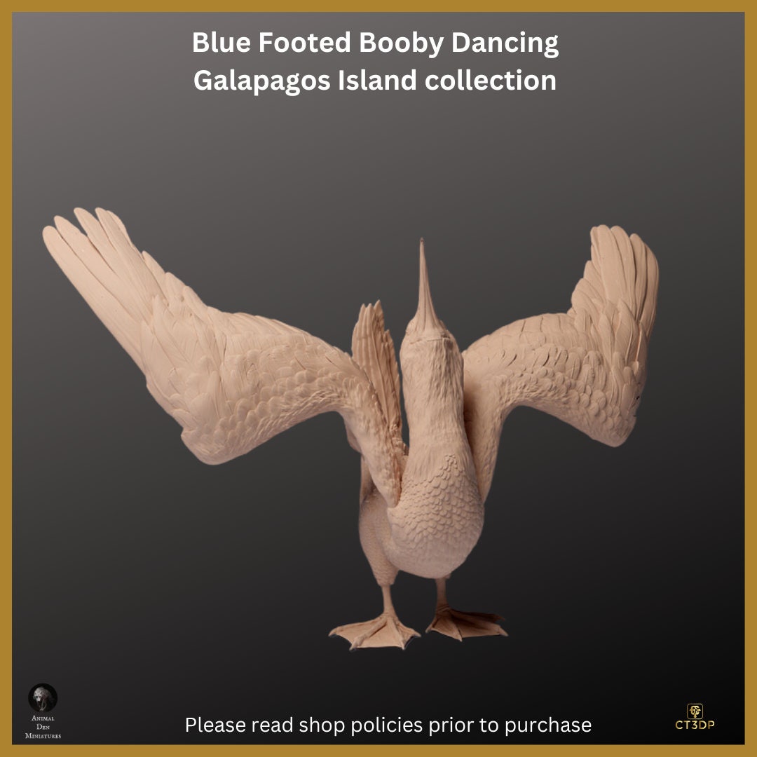 Blue Footed Booby Miniature: Galapagos Island Collection, Dancing Model