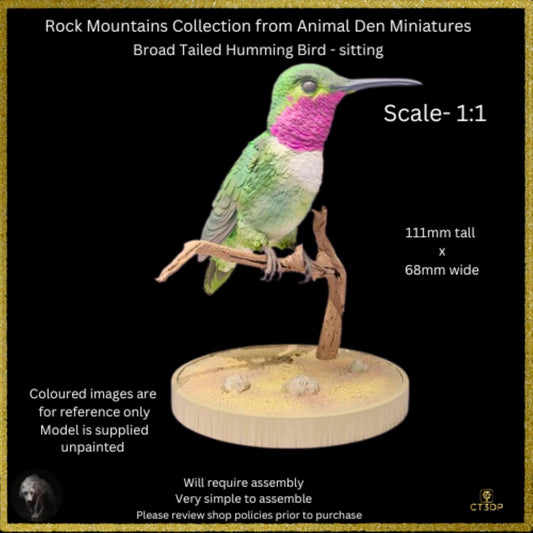 3D Printed Broad-Tailed Hummingbird Miniature - Animal Den Minis