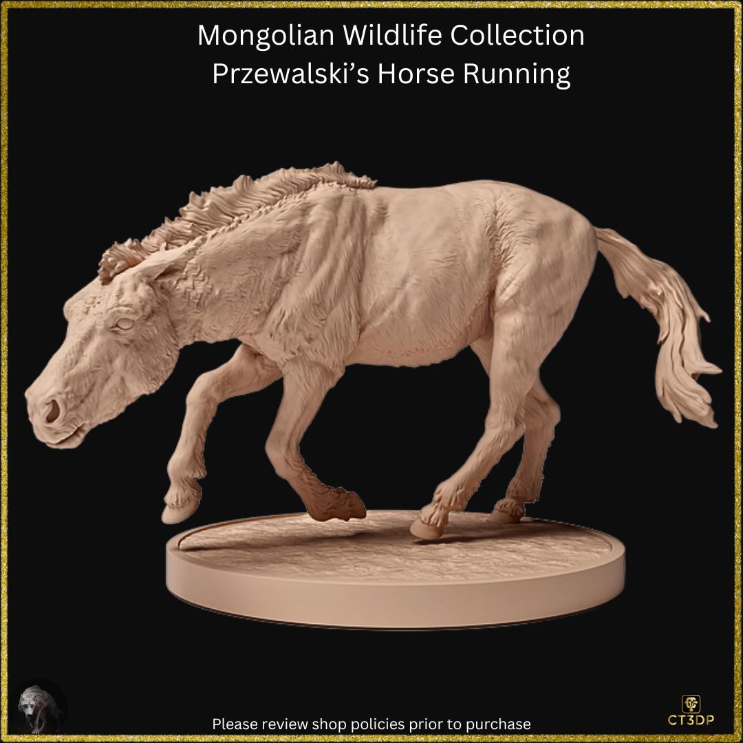 Mongolian Wildlife Collection- Przewalski horse on the run superbly detailed model