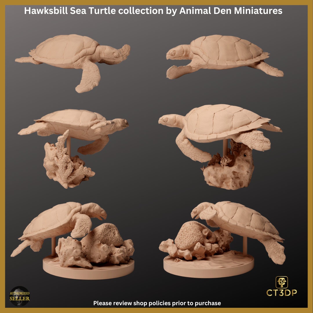 Great Barrier Reef Collection: Hawksbill Turtles. Water-Reef-Barrier reef