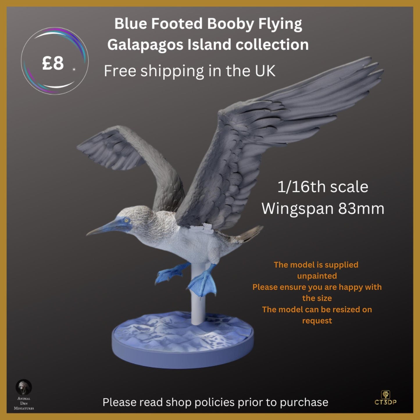 Galapagos Island Collection - Blue-Footed Booby Flying- Just magnificent