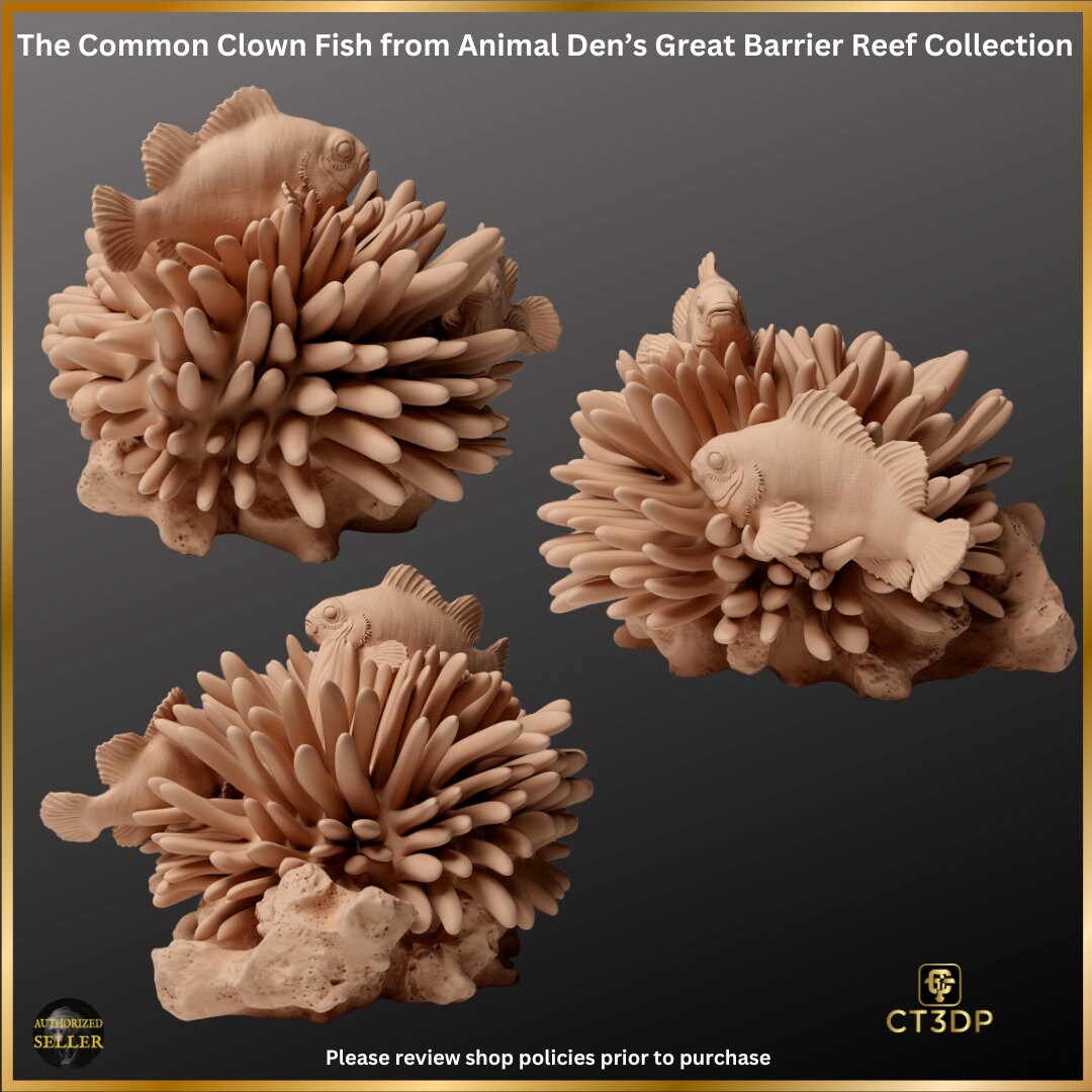 The Common Clown Fish from the Great Barrier Reef collection by Animal Den Miniatures- Superb detail