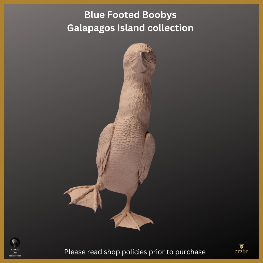 Blue Footed Booby Miniature: Galapagos Island Animal Model