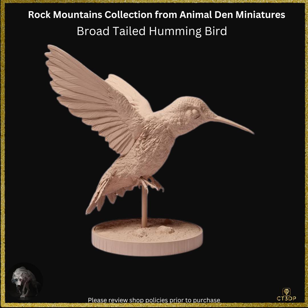 Broad-Tailed Hummingbird Miniature: Detailed Resin Model