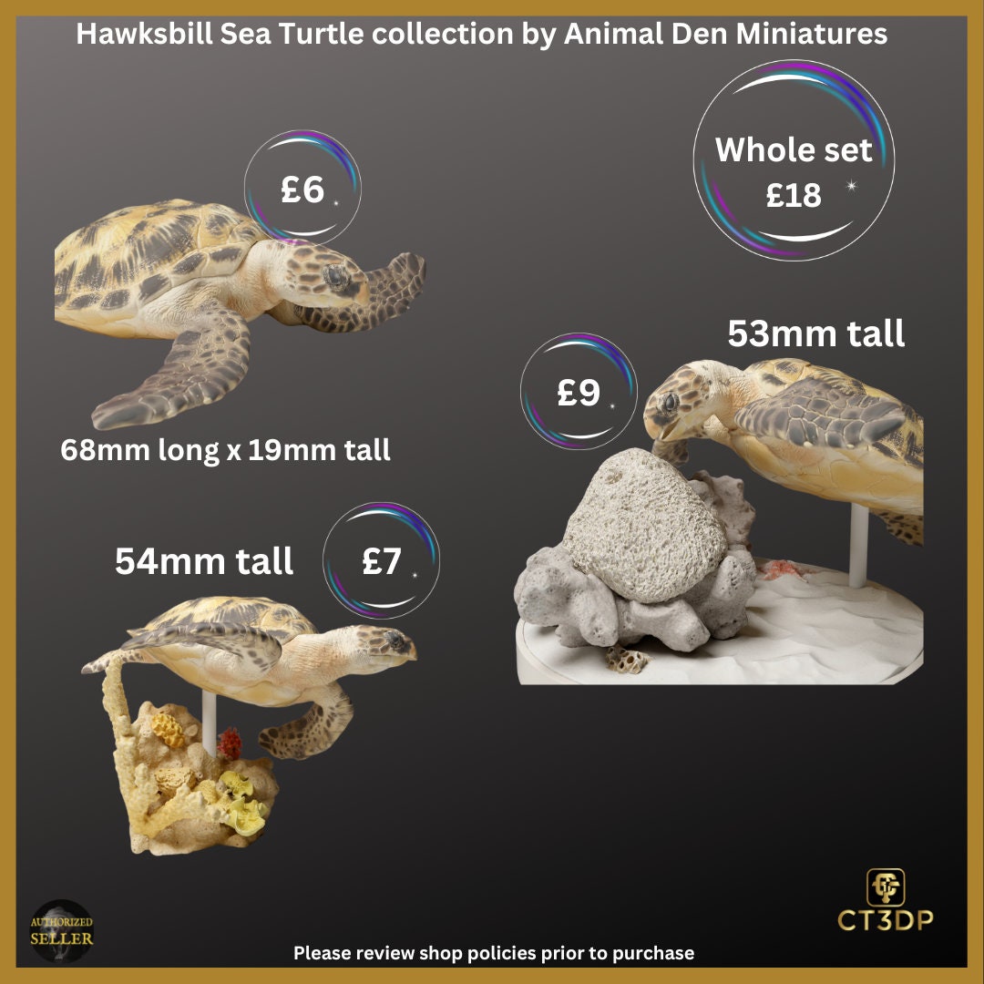 Great Barrier Reef Collection: Hawksbill Turtles. Water-Reef-Barrier reef