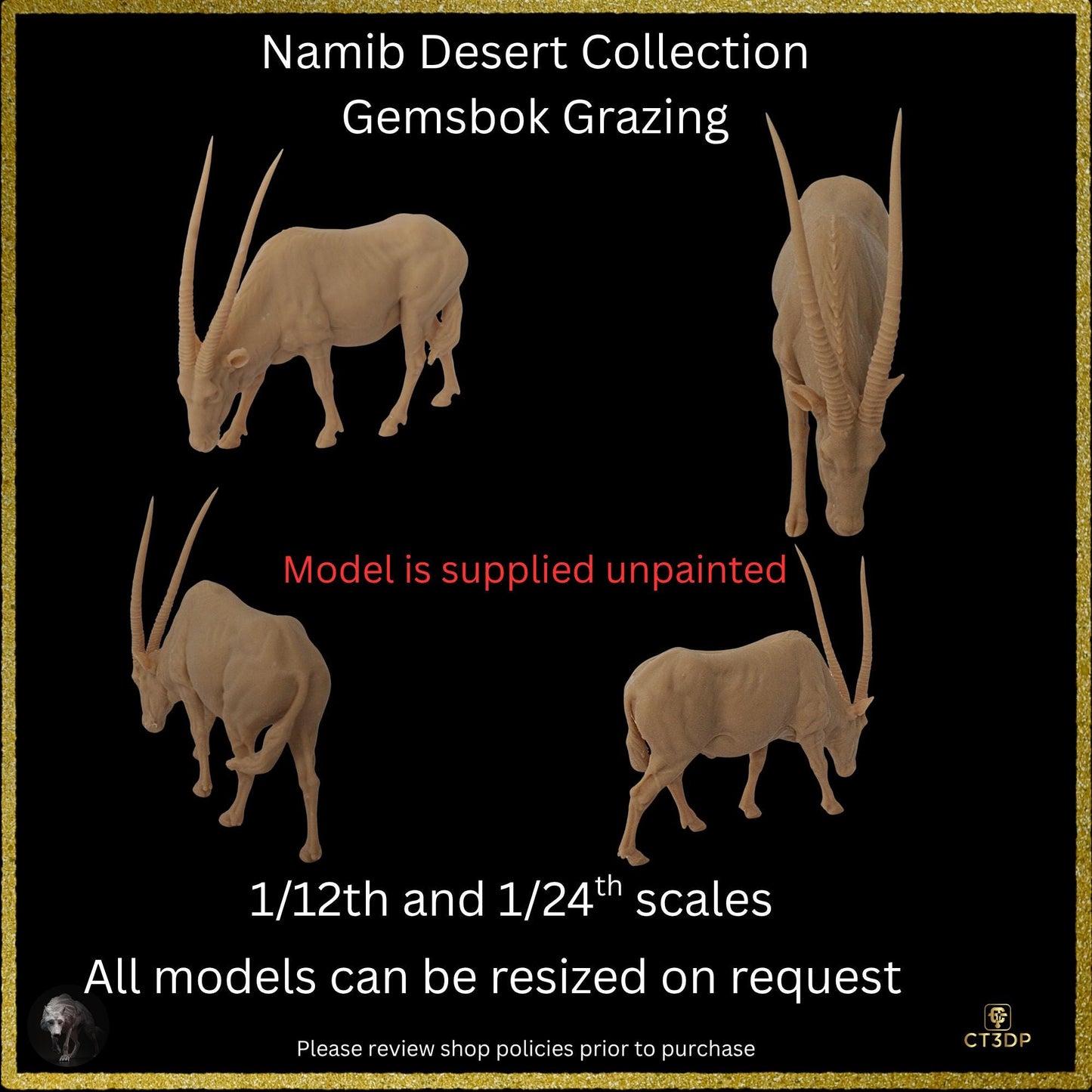 The Gemsbok from the Namib Desert Collection- Grazing