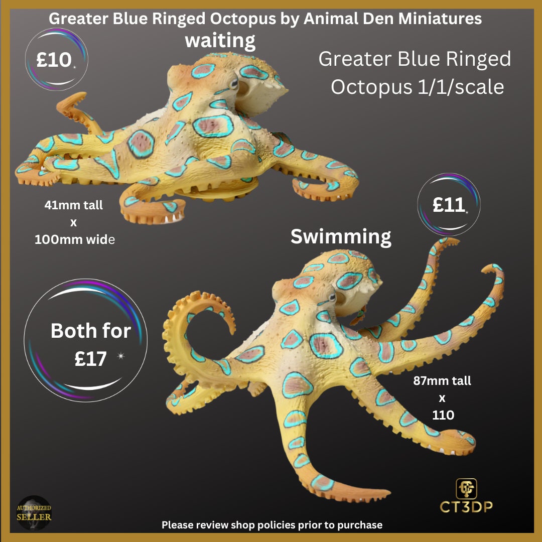 Great Barrier Reef Collection from Animal Den- Here is the Greater Blue Blue Ringed Octopus- superbly detailed- Octopus-Barrier reef-Ocean