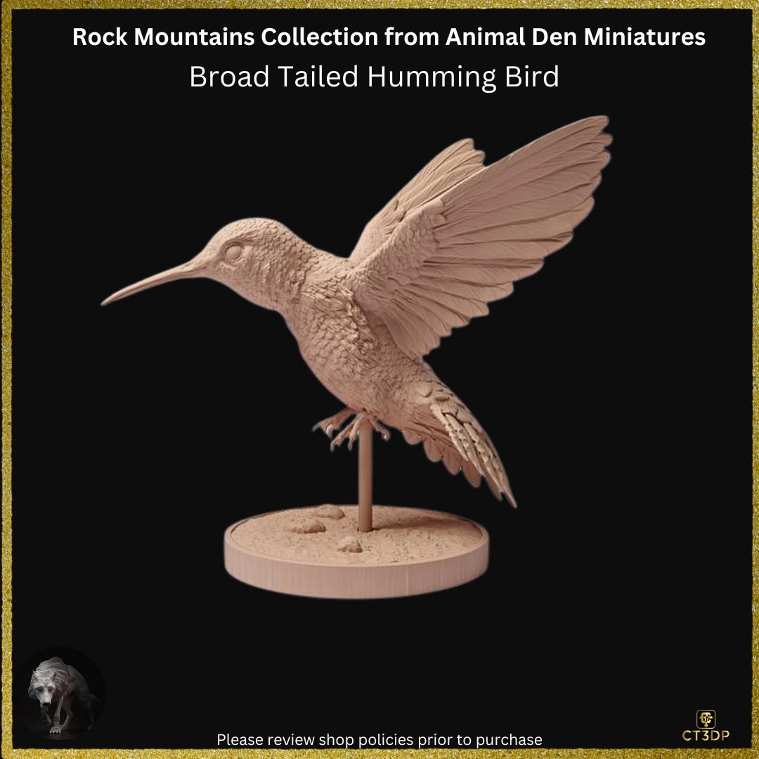 Broad-Tailed Hummingbird Miniature: Detailed Resin Model