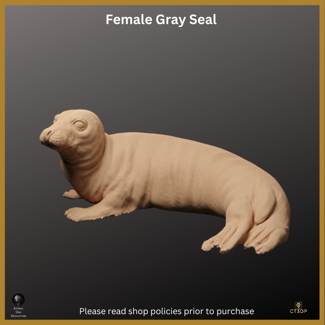 Female Grey Seal Miniature: Detailed Resin Print
