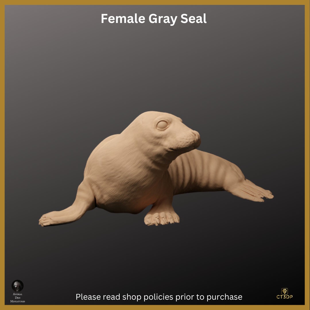 Female Grey Seal Miniature: Detailed Resin Print