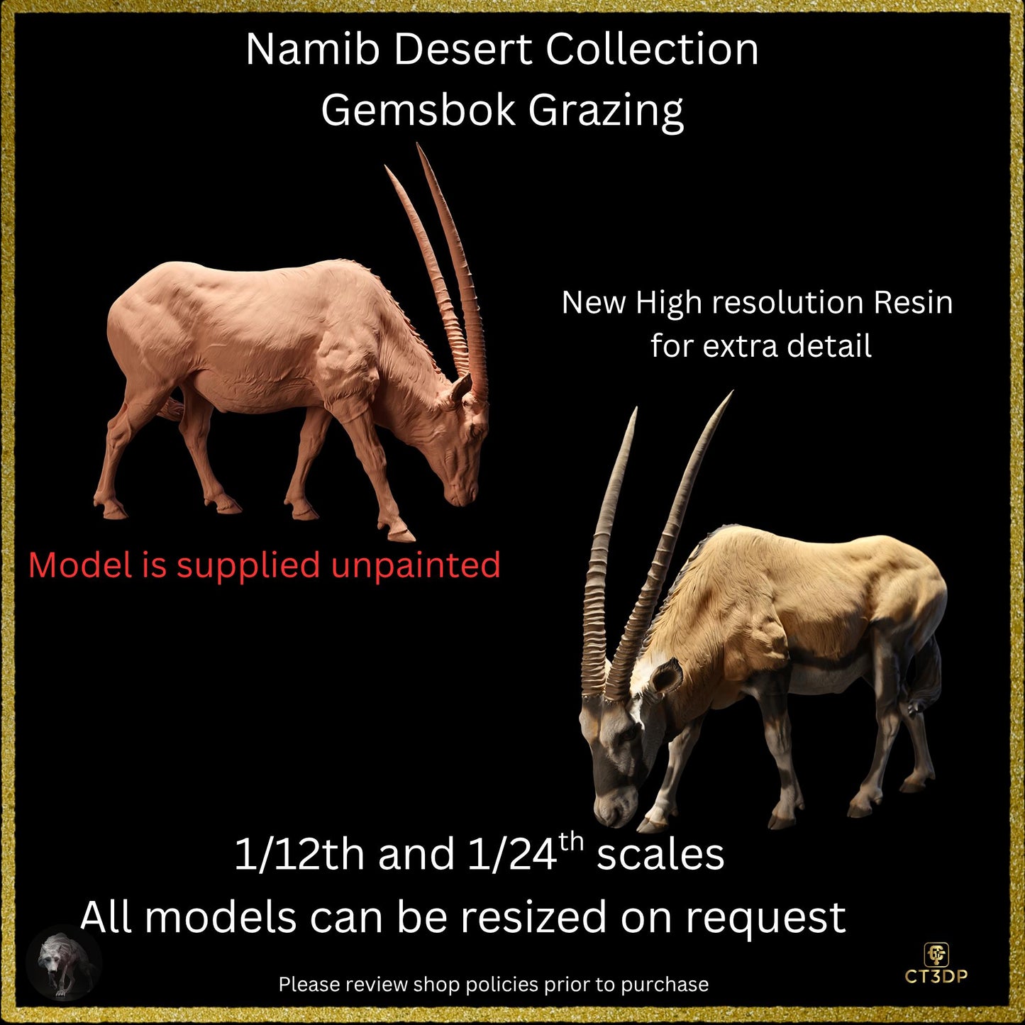 The Gemsbok from the Namib Desert Collection- Grazing