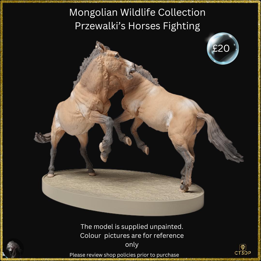 From the Mongolian Wildlife collection comes this amazing set of two Przewalski stallions fighting. Awesome detail.