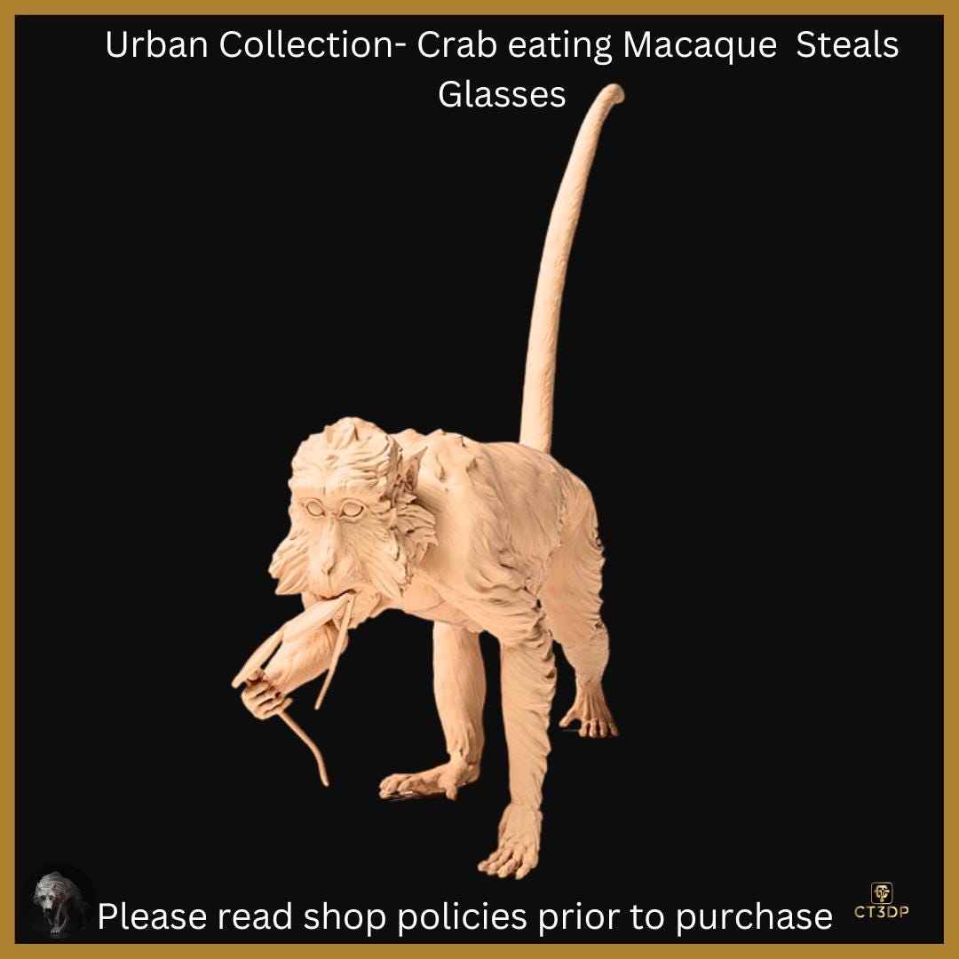Macaque Monkey Stealing Glasses: 3D Resin Model (1/12 Scale)