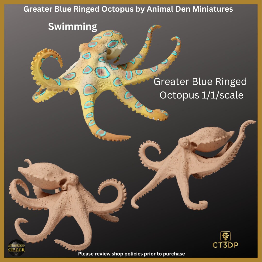 Great Barrier Reef Collection from Animal Den- Here is the Greater Blue Blue Ringed Octopus- superbly detailed- Octopus-Barrier reef-Ocean