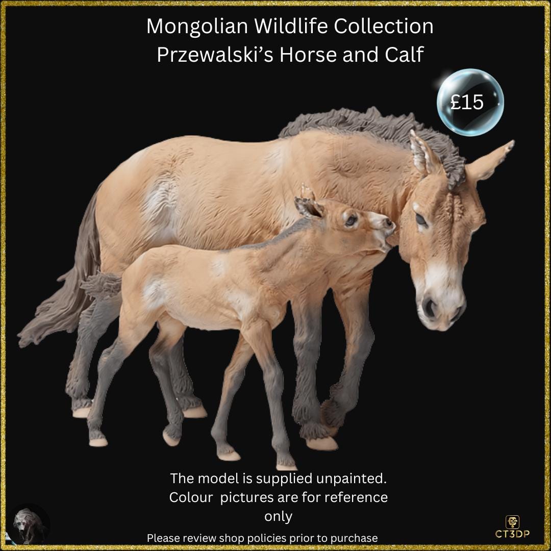 The Mongolian Wild Life Collection- Przewalski mare with Foal- Just a superb miniature