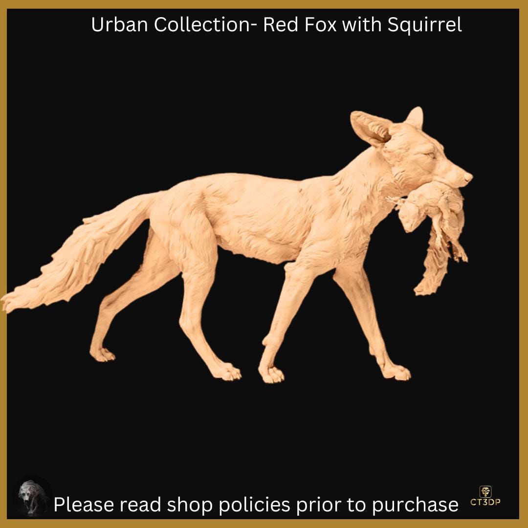 The Urban Collection: Red Fox with squirrel-cheeky-nocturnal-clever-intelligent