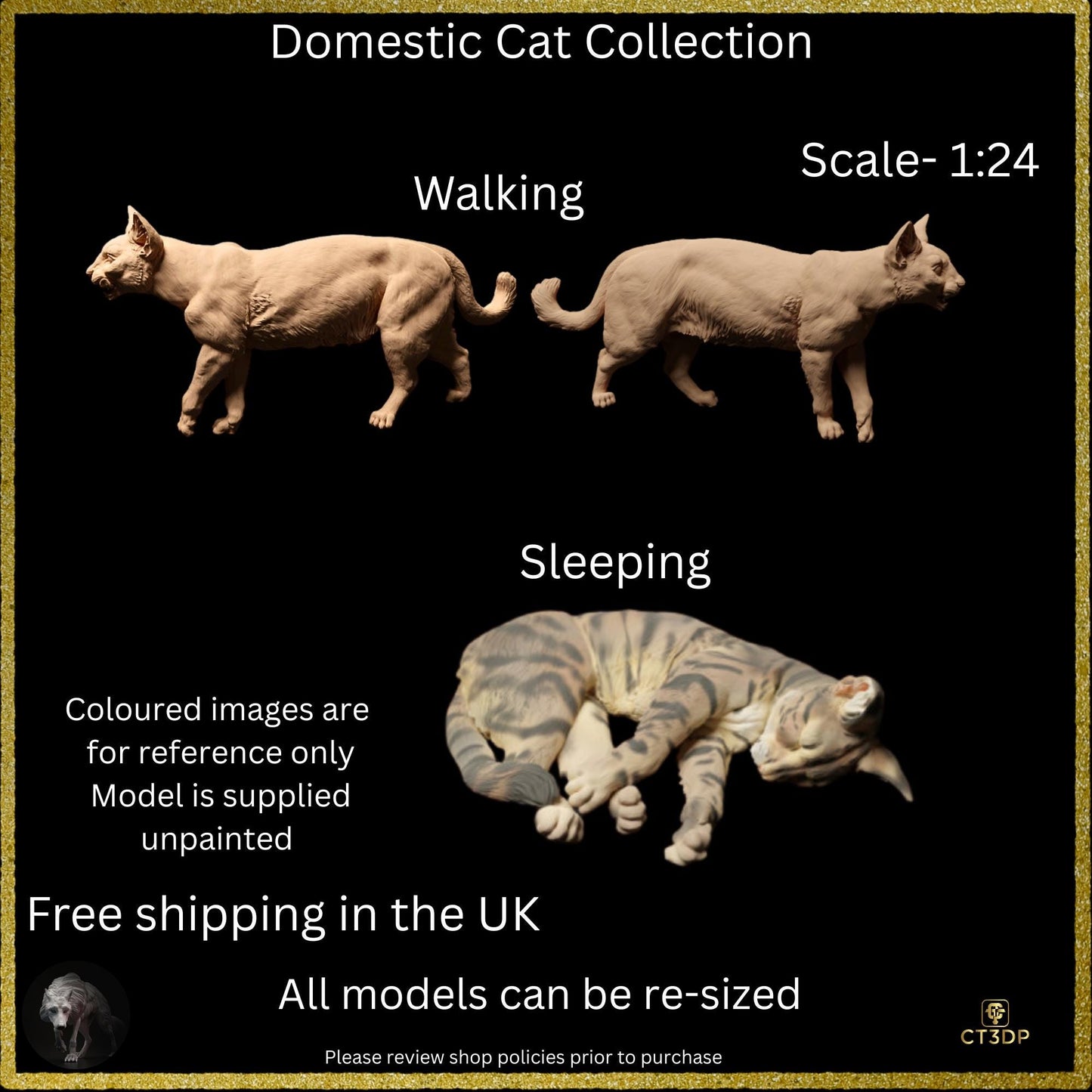 The Domestic Cat collection is now in store- Who doesn't love these mischievous little animals
