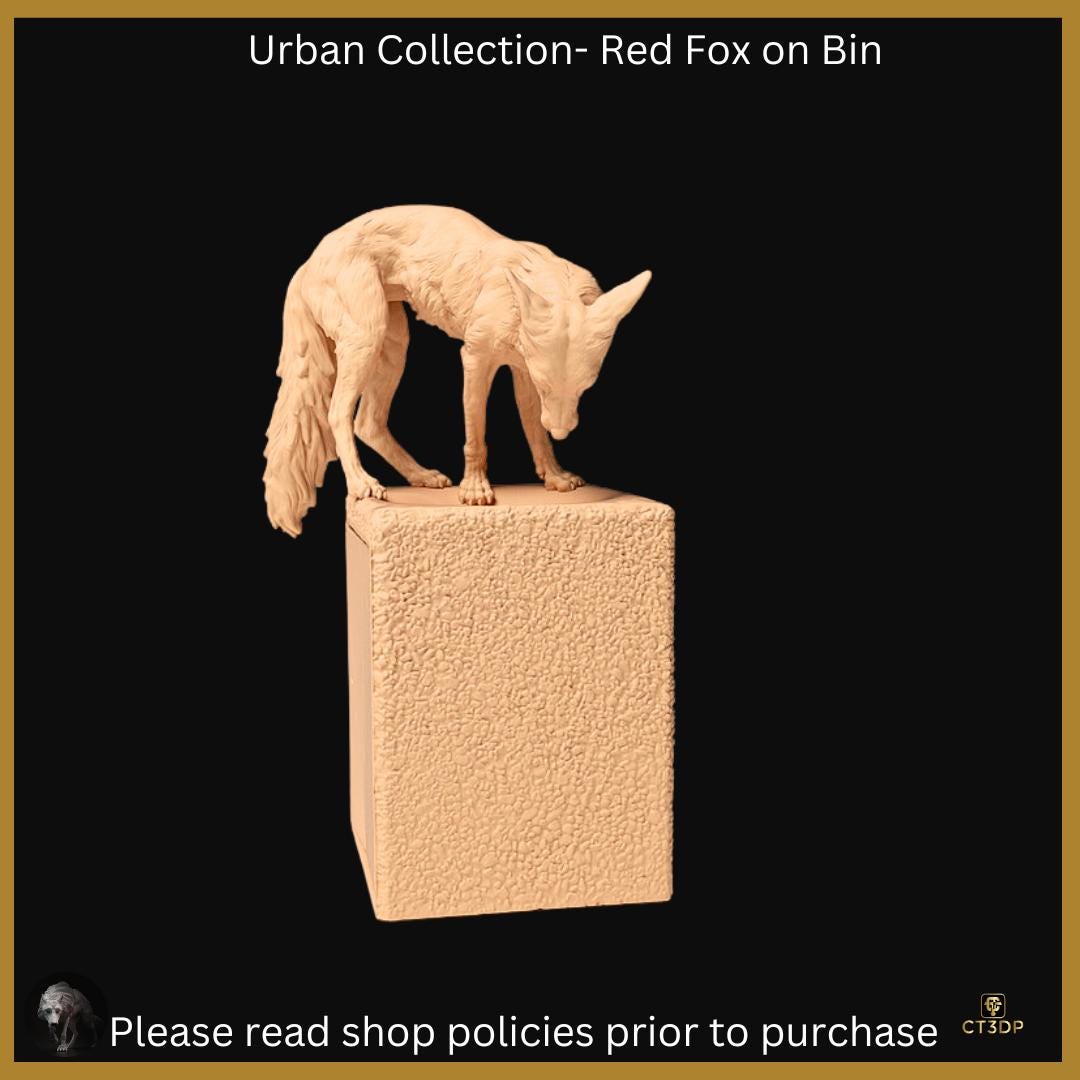 The Urban Red Fox on a Bin- a regular sight for some urban and city dwellers- canny-funny-clever