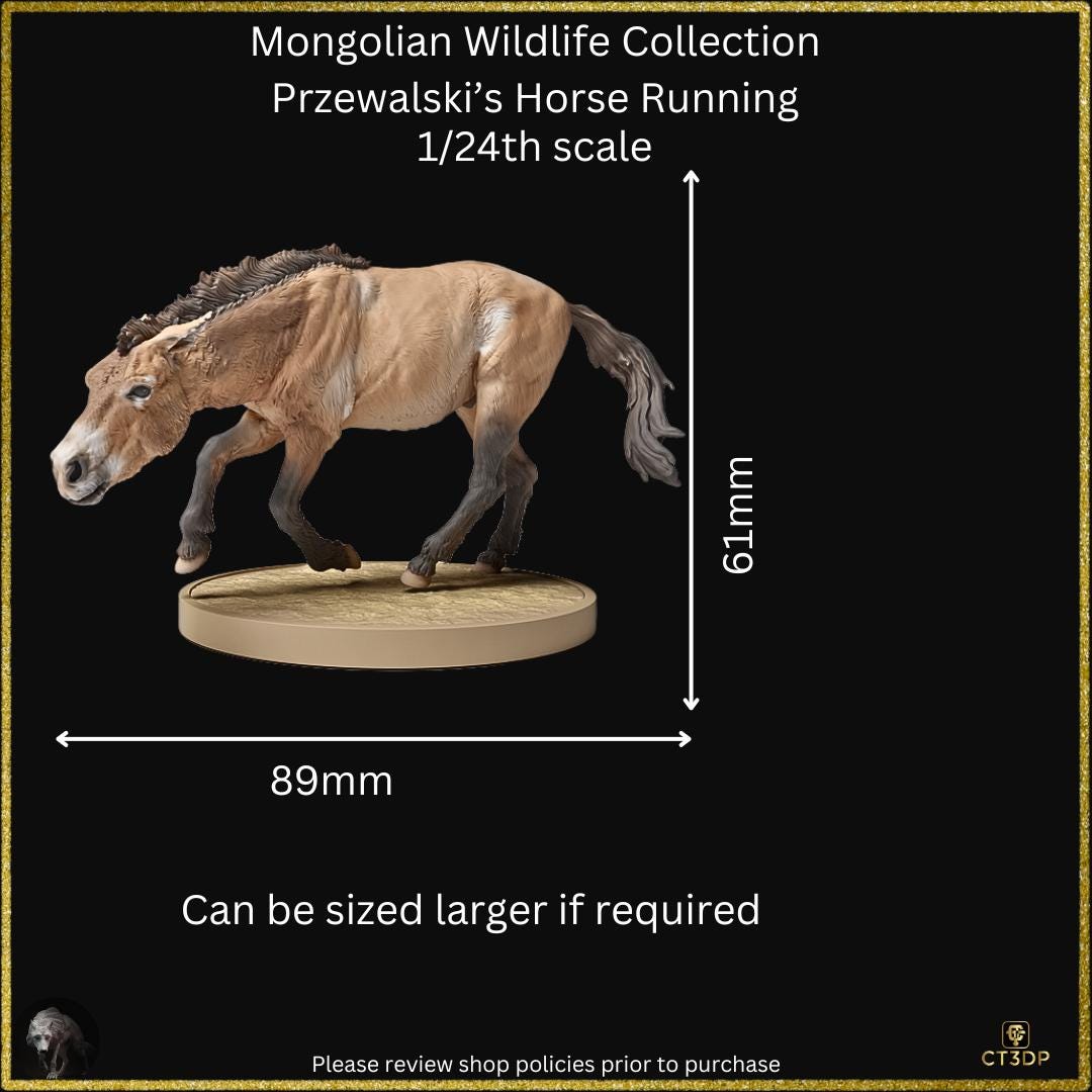 Mongolian Wildlife Collection- Przewalski horse on the run superbly detailed model