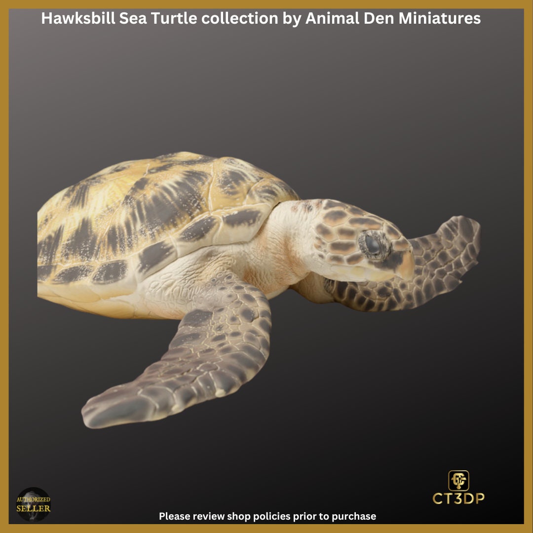 Great Barrier Reef Collection: Hawksbill Turtles. Water-Reef-Barrier reef