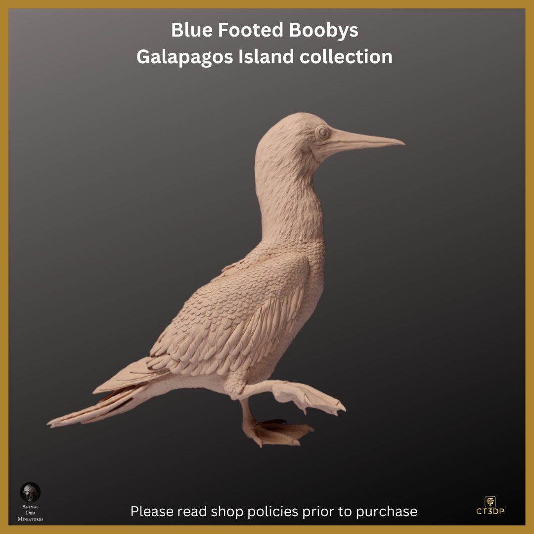 Blue Footed Booby Miniature: Galapagos Island Animal Model