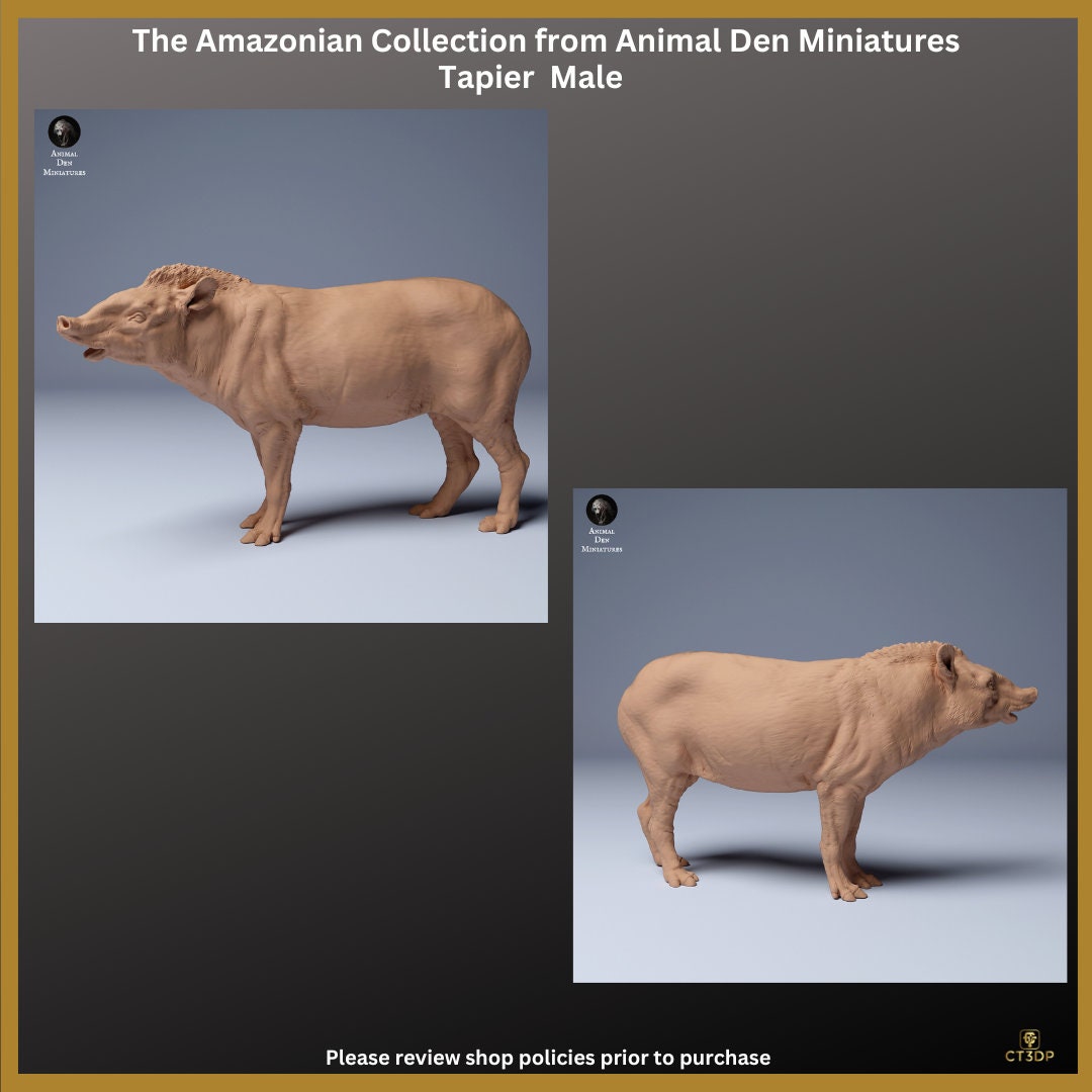 Tapir Miniature Set: Amazonian Animal Den Collection