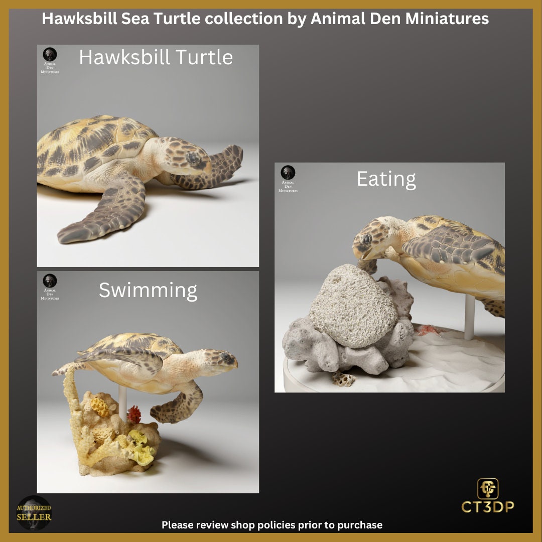 Great Barrier Reef Collection: Hawksbill Turtles. Water-Reef-Barrier reef