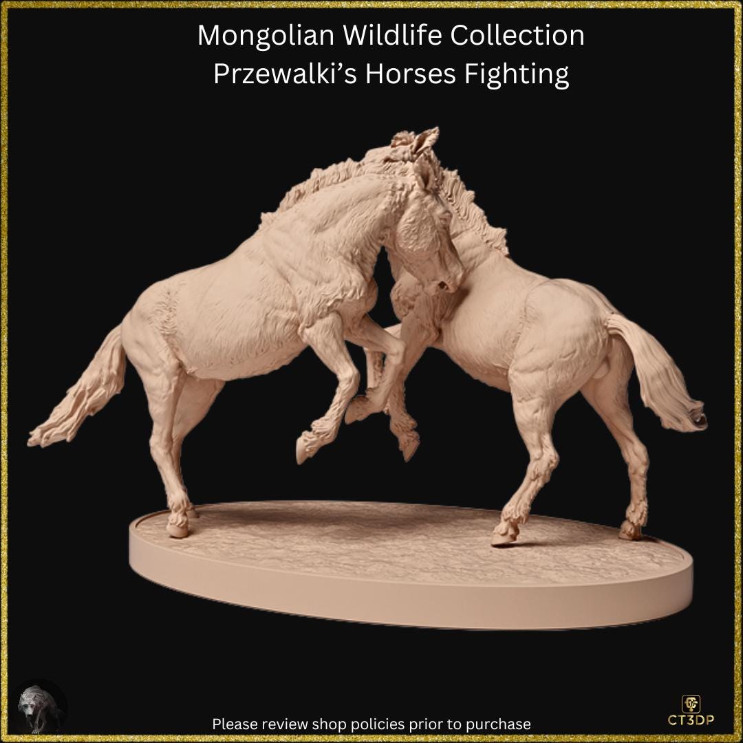 From the Mongolian Wildlife collection comes this amazing set of two Przewalski stallions fighting. Awesome detail.