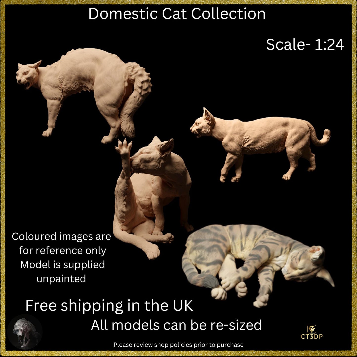 The Domestic Cat collection is now in store- Who doesn't love these mischievous little animals