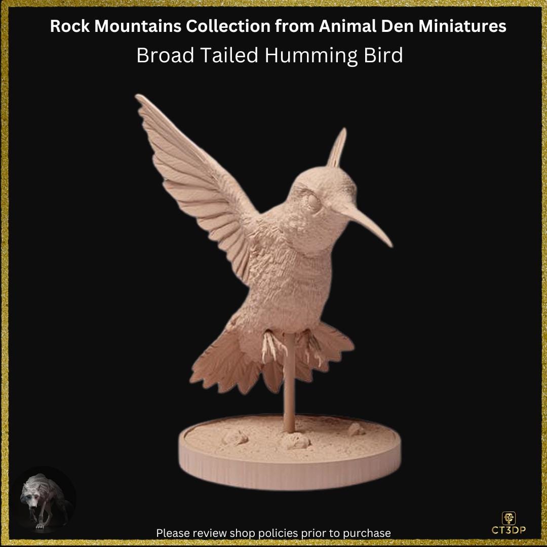 Broad-Tailed Hummingbird Miniature: Detailed Resin Model