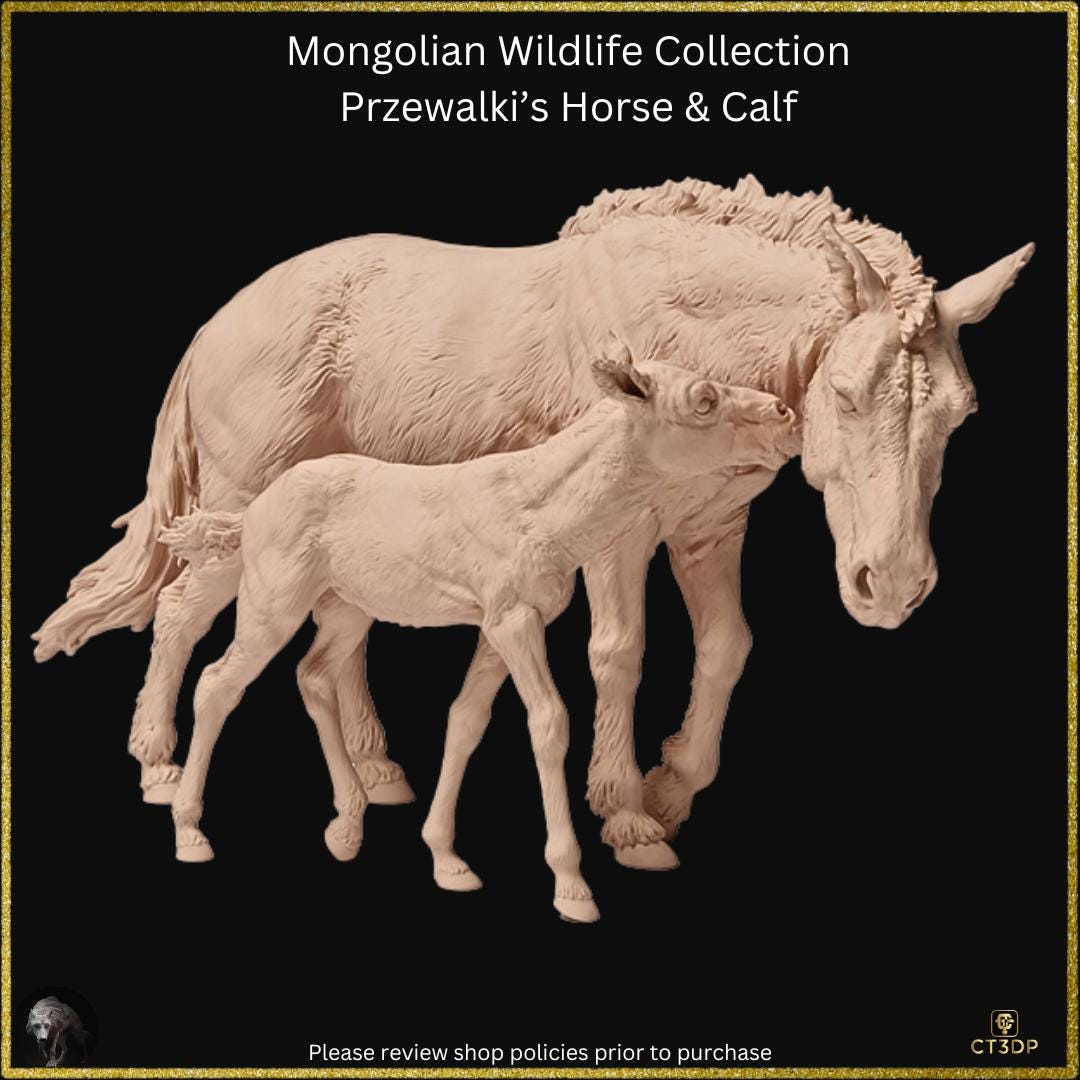 The Mongolian Wild Life Collection- Przewalski mare with Foal- Just a superb miniature