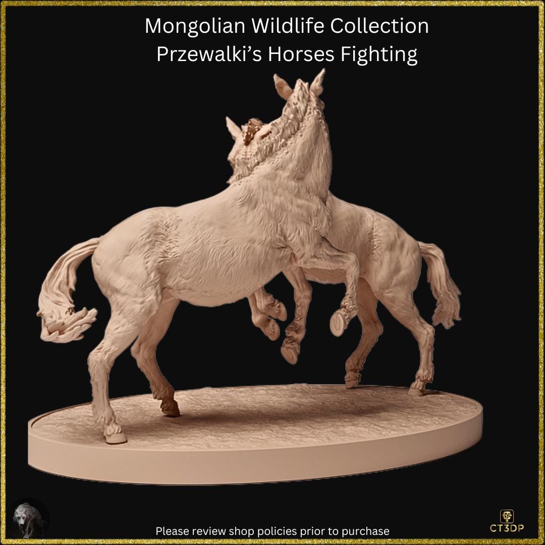 From the Mongolian Wildlife collection comes this amazing set of two Przewalski stallions fighting. Awesome detail.
