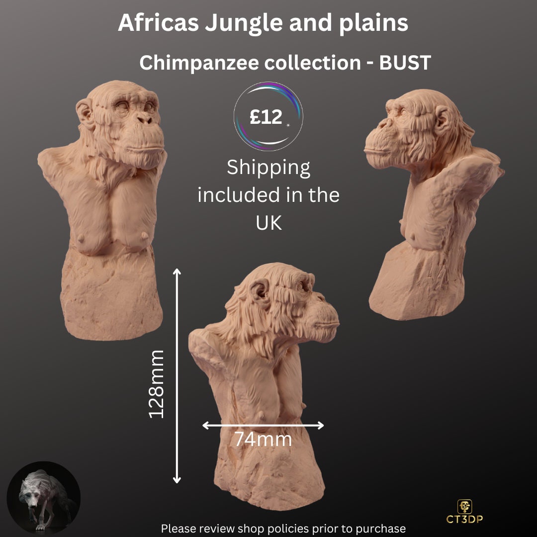 Africa Jungle and Plains Collection - Chimpanzees by Animal Den Miniatures